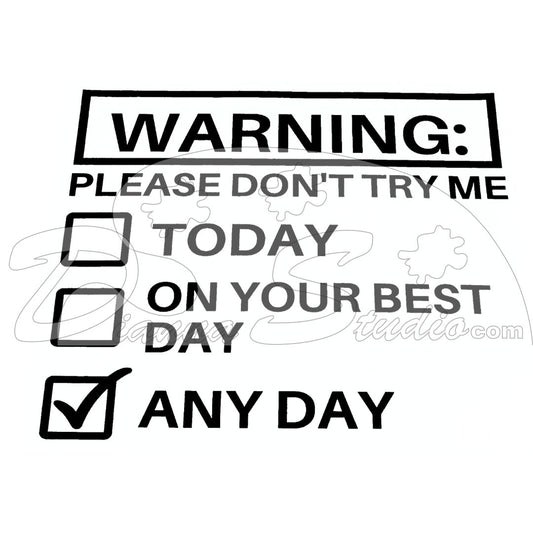 Warning, Please Don't Try Me, Today, On your Best Day, Any Day Black Screen Print